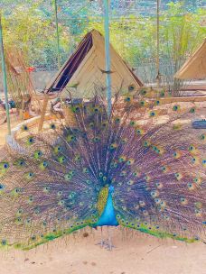 茂名森林公园-茂名-C-IMAGE