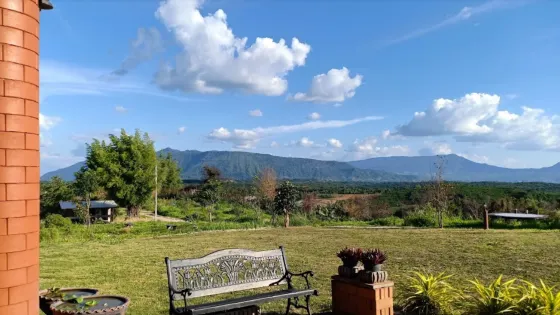 Phutham Coffee Fields