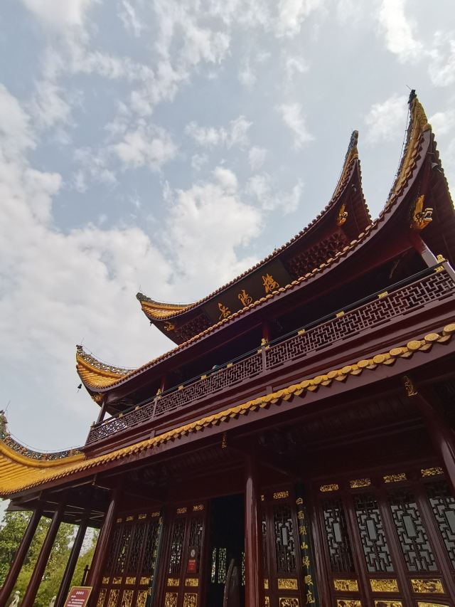 东洞庭湖国家级自然保护区旅行图片 3