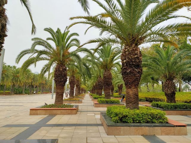 海湾公园旅行图片 2