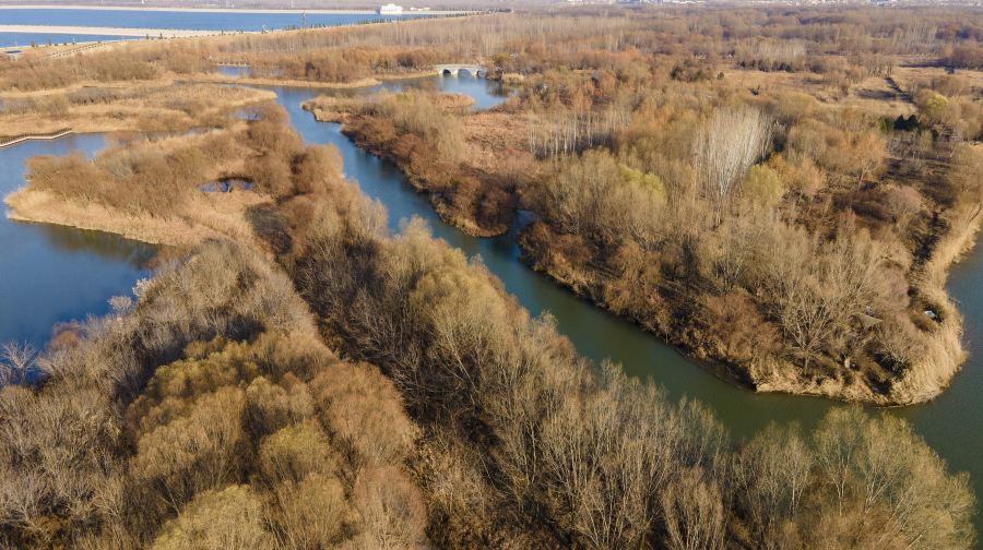 济西国家湿地公园