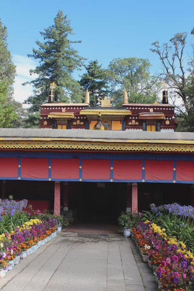罗布林卡旅行图片 3