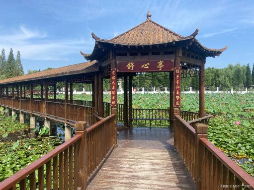 南湖公园景点图片