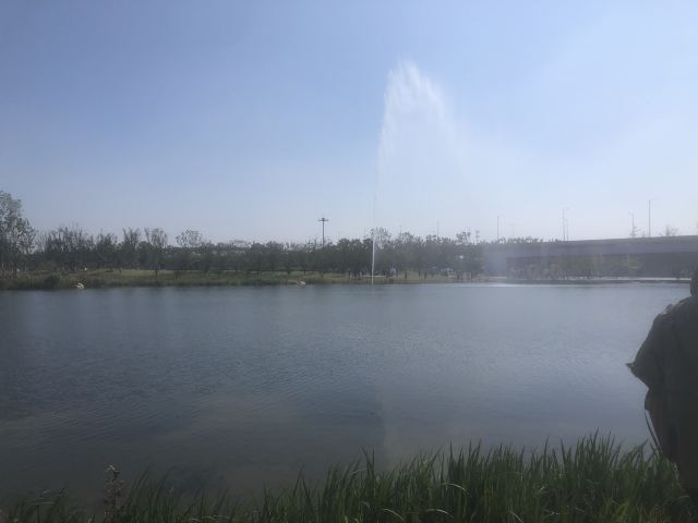 杏湖公园旅行图片 2