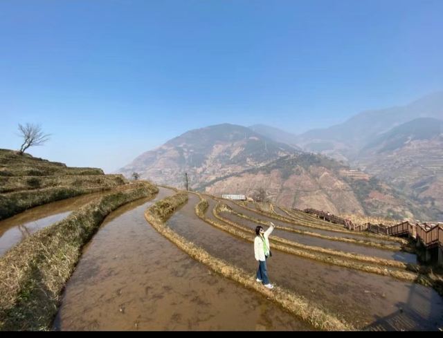 新山梯田旅行图片 3