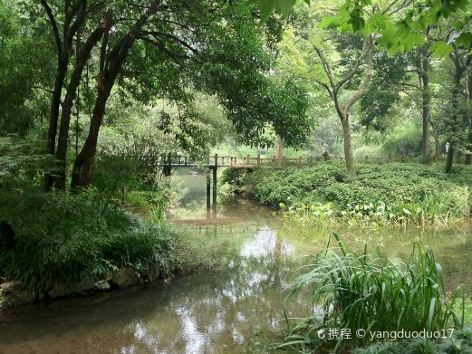 江苏东湖湿地公园