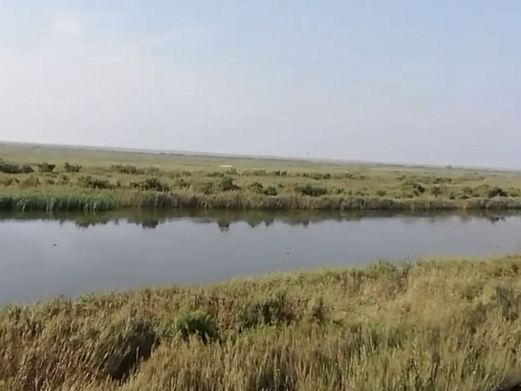 鸟岛景点