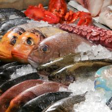 Bigfish Seafood Bistro-布达佩斯