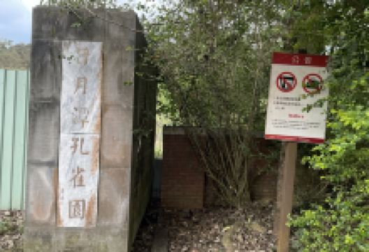 孔雀园景点图片