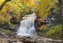 Yankee Run Nature Preserve景点图片