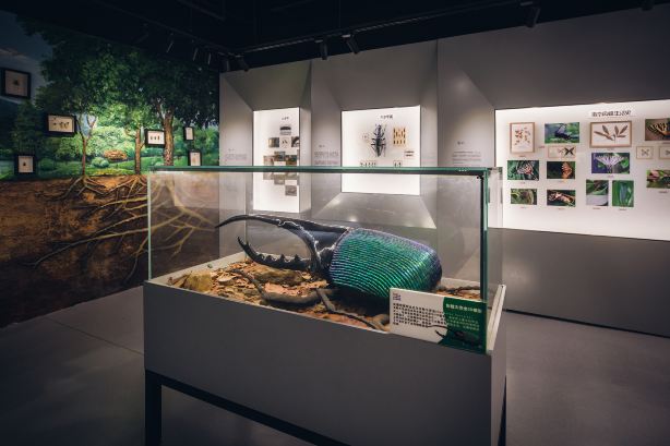 Gallery 2