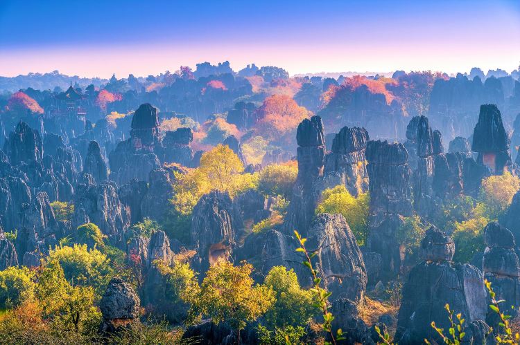 旅行社十大排名,凭什么国旅排第一