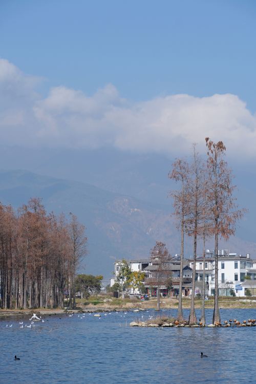 富美邑
