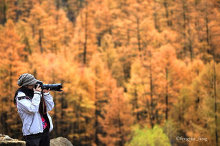 【呼伦贝尔旅游攻略】一切都是慢慢的美——呼伦贝尔旅游攻略