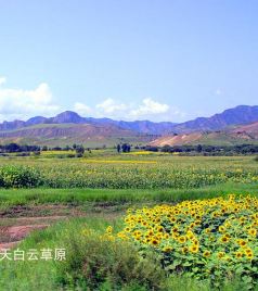 塞罕坝游记图文-内蒙古旅游：克什克腾大草原游记（图）