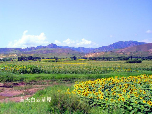 内蒙古旅游：克什克腾大草原游记（图）