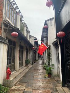 巴城老街-昆山-我的黑郁金香