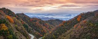 留坝红叶观赏季正式开启，全年最美30天！