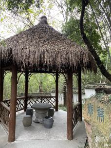 孤山-杭州-柠檬苹果醋