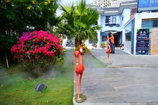 暖冬三亚|美食不离嘴,生活更惬意