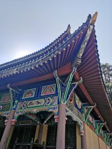 灵山寺-冕宁-秋虫子