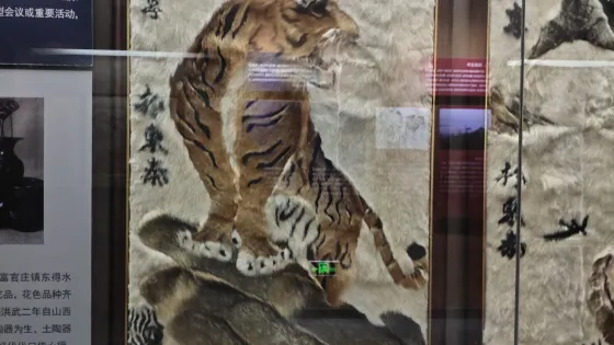 沂水縣博物館