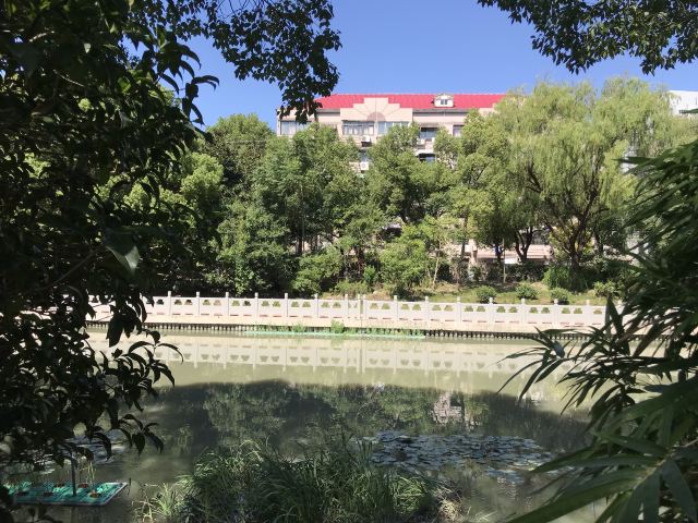 莘庄公园旅行图片 3
