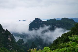 乡游黔中 | 春日漫游,醉在油杉河的山河长卷里
