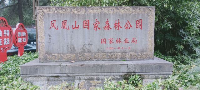凤凰山国家森林公园旅行图片 1