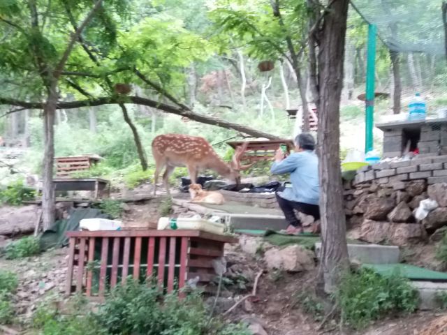 白云山山体公园旅行图片 2