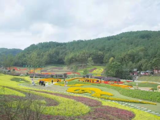 如意花海