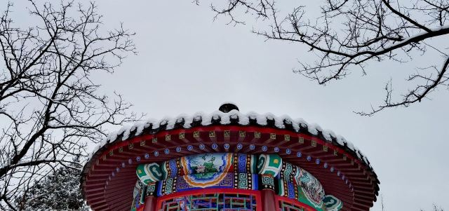 宣武艺园旅行图片 6