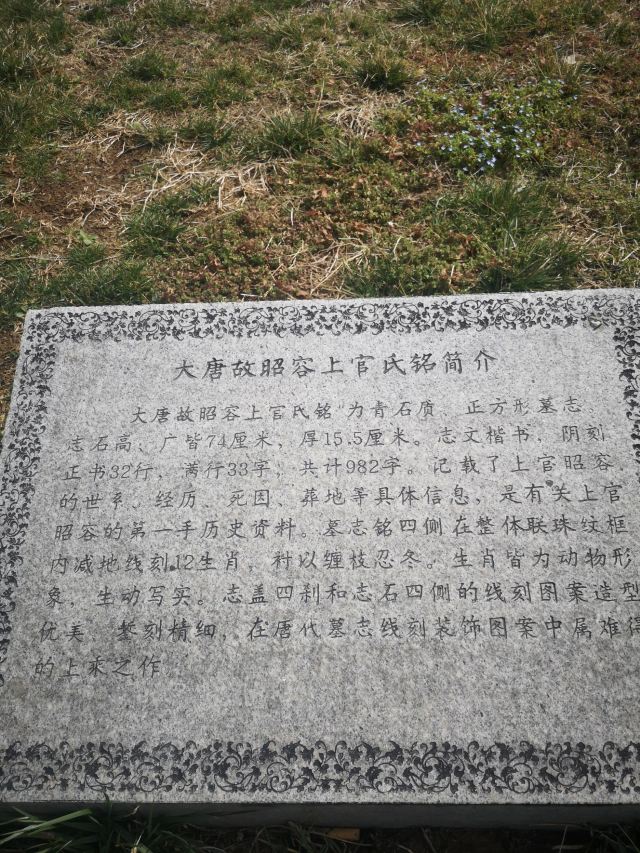 唐昭容上官氏公园旅行图片 12