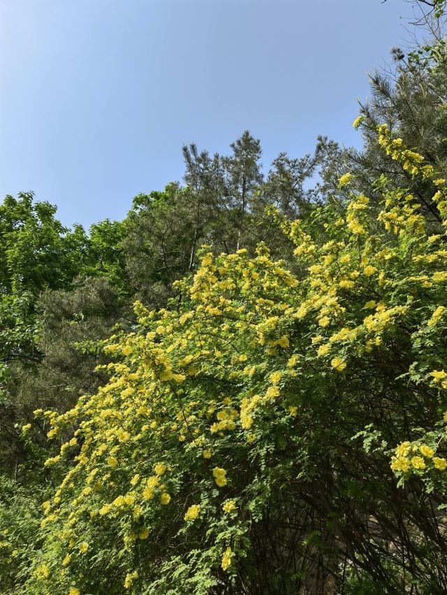 东单公园旅行图片 5