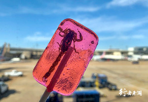 波兰游记图文-旅行，如何改变了我的饮食观（上）