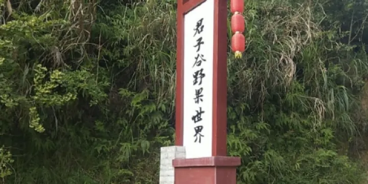 君子谷野果世界