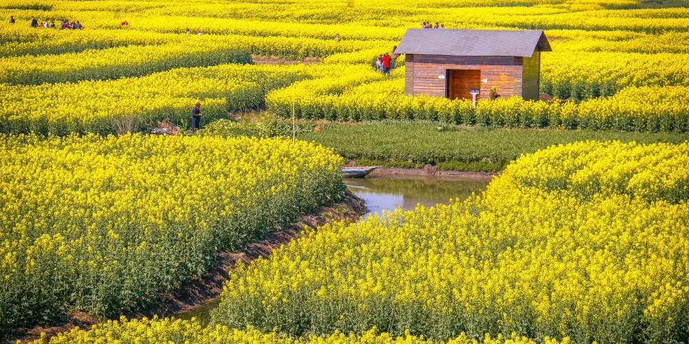 永安旅遊