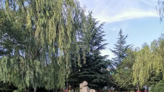 晨曦公園