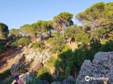 Parc de Valmy-滨海阿热莱斯