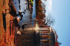 罗杰威廉斯公园动物园-普罗维登斯