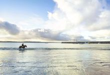 Logan's Beach景点图片