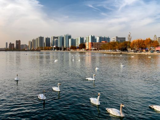 浑河晚渡公园