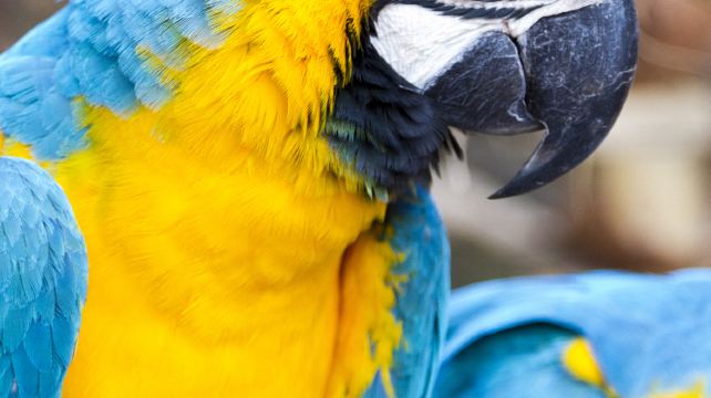 7-Day Orlando Theme Park Tour from Miami·Miami City Tour, Everglades National Park, Key West, Fort Lauderdale, Palm Beach | Small Group of 2-14 Pax 