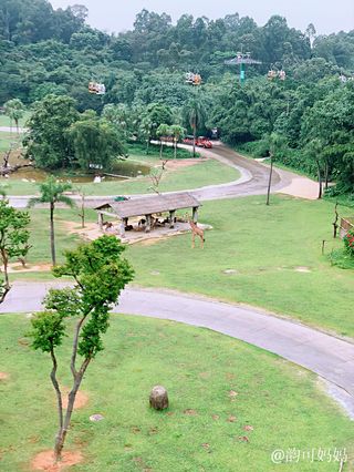 一家亲旅行之一（广州~顺德）-体验动物世界、领略岭南文化、品尝广式美食