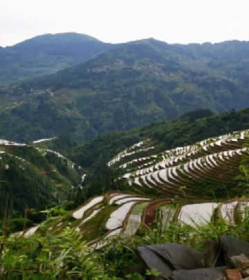 砂拉越游记图文-黔东南之三 加榜梯田原始农耕，忆往昔今的文明画卷