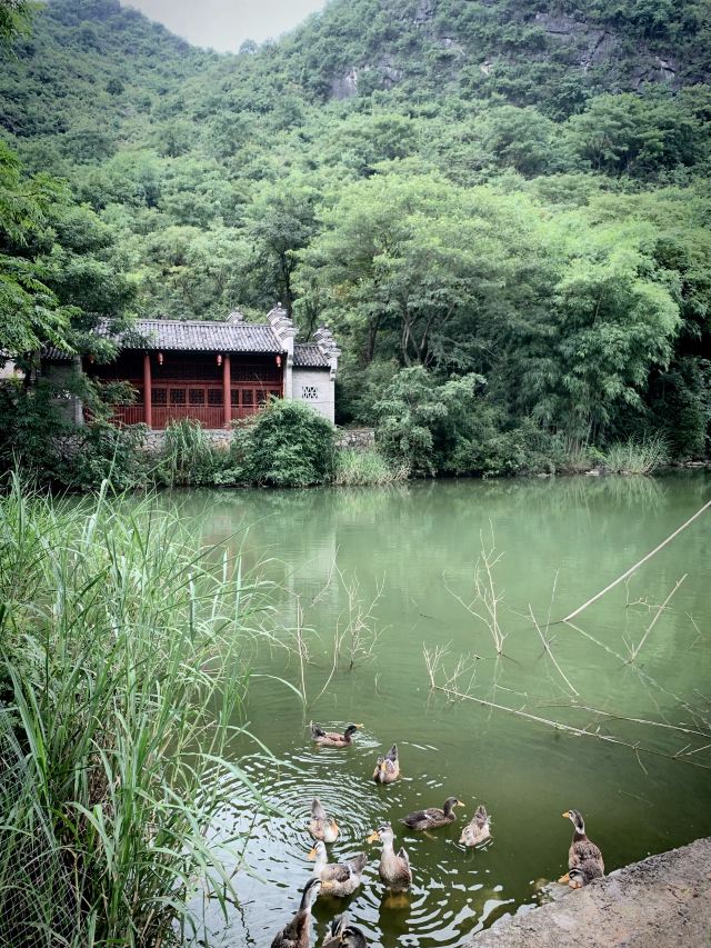 翠屏五指山景区旅行图片 1