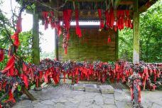 求儿洞-张家界-彪标