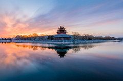 康平镇游记图片] 世界对称日，愿所求皆所愿，所盼皆所期