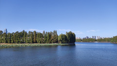 南京游记图片] 南京武汉——2021的唯一出游