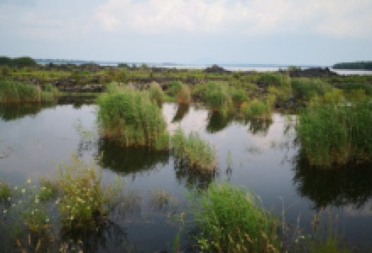 黑瞎子岭景点图片
